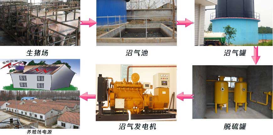 養(yang)豬場該(gai)選擇(ze)多(duo)大功率的沼(zhao)氣(qi)髮電機(ji)組