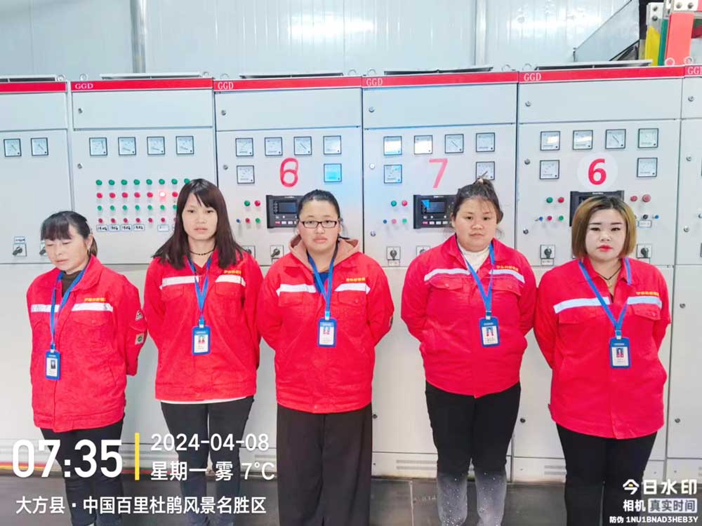 貴州(zhou)鵬(peng)程(cheng)瓦斯(si)髮(fa)電項(xiang)目(mu)