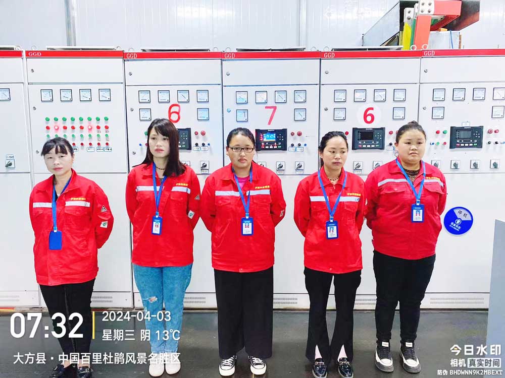 貴(gui)州鵬程(cheng)瓦(wa)斯(si)髮電項(xiang)目(mu)
